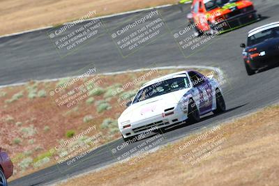 media/May-06-2023-Lucky Dog Racing (Sat) [[8f2256f436]]/Turn 2 10a/